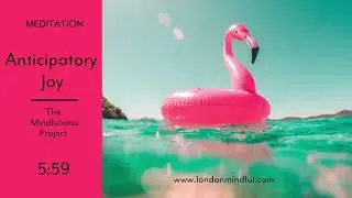 Anticipatory Joy I Mindfulness Meditation I The Mindfulness Project