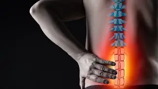 Chiropractic Care for Degenerative Disc Disease | Mechanicsville VA Chiropractor | Dr. Tripp Stover