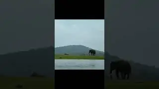 Kabini back water