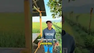 POV : Running Through rice fields 🌾✨ #running #morningroutine