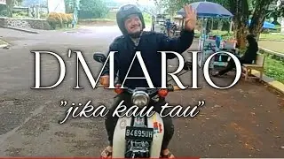 D.MARIO BAND 