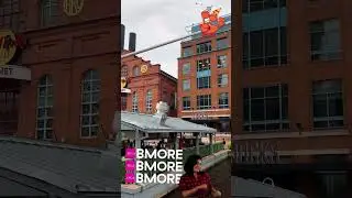 Baltimore Harbor