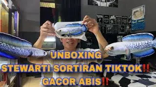 UNBOXING CHANNA STEWARTI TIKTOK‼️ CALON GACOANN ‼️