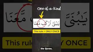 The only case of this Idgham! #learntajweed #learnquran #arabic101 #tajweed