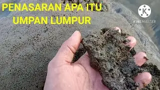 PENASARAN APA ITU UMPAN LUMPUR