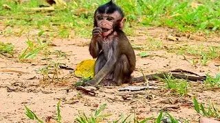 What's Baby Daniela eating that! Baby staying alone, Dana keep baby like this everyday!