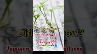#Japanese newspaper will now have seeds 🗾☘️#trending #youtubeshorts #viral#quotes #news #reels