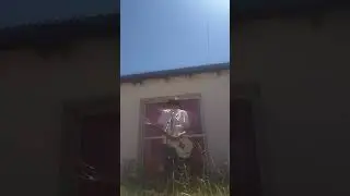 Muertos del aburrimiento  en vivo 2 de enero 2026