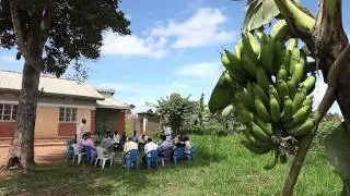 Notre Dame Ford Program in Uganda