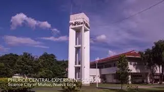 Philippine Rice Research Institute 2021