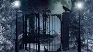 THE WORLD OF SKIN - Cold Bed