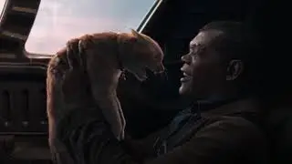 Goose Scratches Nick Fury | Nick Fury Loses Eye | Captain Marvel (HD)