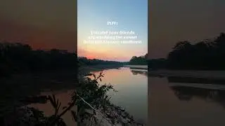 POV: Watching the sunset from the Amazon rainforest