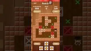 Push Box professional level 4