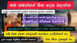 සෝතාපන්න වීමේ උපාය මාර්ග |#874බණවර |#revhasalakaseelawimalathero |2026.02.05