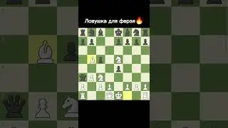 Красивая ловушка в гамбите Норфолк💥| Isolate.exe - Cristals #shorts #chess #шахматы #реки #топ #wow