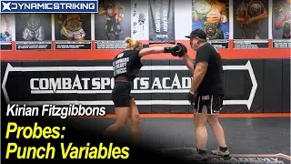 Probes - Punch Variables by Kirian Fitzgibbons
