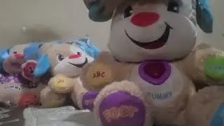 Fisher price puppy 2003-2004 2014 2007