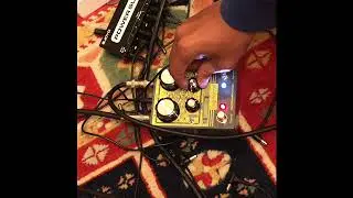 Earthquaker Devices Gray Channel Guitar&Bass Demo