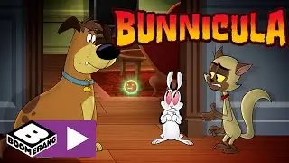 Bunnicula | Wo ist Bunnicula | Cartoonito