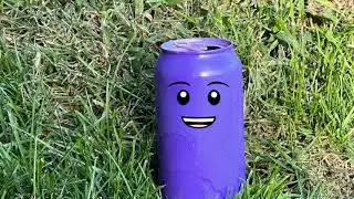 Painesville's Anti-Litter Campaign