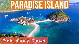 Koh Nang Yuan, World's Most Beautiful Island | Koh Tao, Thailand Things To Do