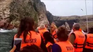 Islas Ballestas Bah&iacute;a de Paracas 18-07-2016