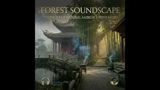Forest Zen Garden | 37 Minutes of Relaxing Music for Meditation, Sleep & Study
