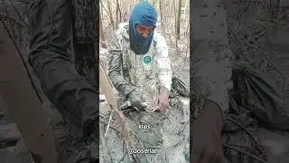 Pegando caranguejo para o cliente