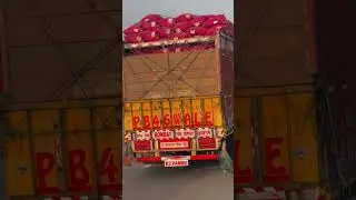 akhir india me asea truck. kyu nahi milte #facts #automobile #factile #dailyfacts #factbox #shorts