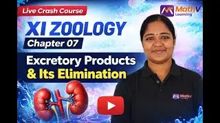 Excretory Products & Its Elimination | Class 11 Zoology Ch 7 | HSE 2026 | Malayalam/English