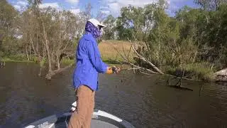 Tabs Bullshark