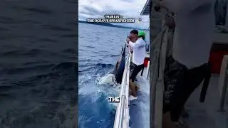 OCEAN GIANT TOP Vidios Compilation🦈🌊#OceanGiants #BigCatch #GiantSquid #ViralShorts #NewYork #fyp