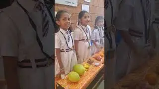 Science and Maths exhibition 
