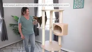 Armarkat Premium Scots Pine 85-Inch Cat Tree with Five Levels, Two Condos