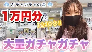 【ガチャガチャ】1240台の大量ガチャガチャの森で1万円分回しまくってきた!!!!「ガチャガチャの森」
