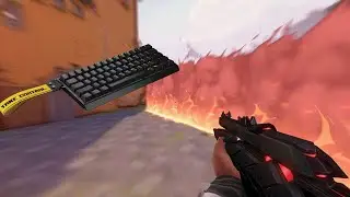 Wooting 60HE + 240hz