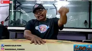 ESTO OPINO DE LA ACUARIOFILIA #TAGBICHERO ME NOMINO ACUARIOS FA