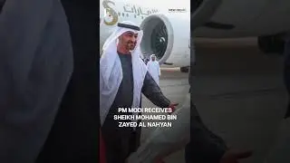 UAE President Lands in India, PM Modi Receives Sheikh Mohamed bin Zayed Al Nahyan | N18G