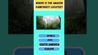 Where is the Amazon Rainforest located? #youtubeshorts #quizzone #english #quizze