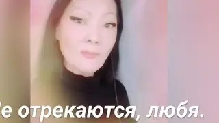 7 ноября 2024 г.