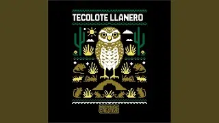 El Guardian del Llano 8 Bits