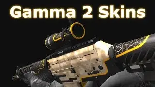 Gamma 2 Case Weapon Skins
