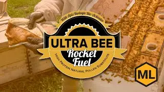 Ultra Bee Rocket Fuel &ndash; Supercharge Your Bee Colony