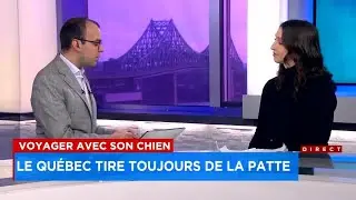 Voyager avec son chien: le Qu&eacute;bec tra&icirc;ne de la patte - Entrevue, 9h