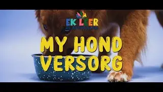 Hoe om troeteldiere te versorg - Deel 1 - Honde versorging