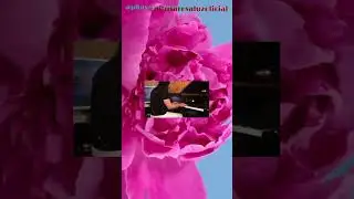 🎵 Music by Yanni Art by @pitusarosaluzoficial @yanniegypt5389