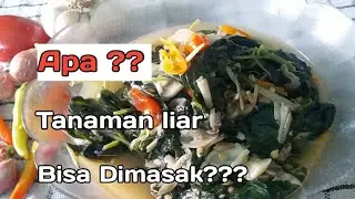 Tumis bayam hutan (@nuryusufchanel )