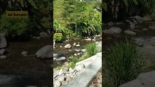 Hidden Gems Sungai di Mojokerto