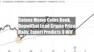 Solana Meme Coins Bonk, Dogwifhat Lead Crypto Price Rally, Expert